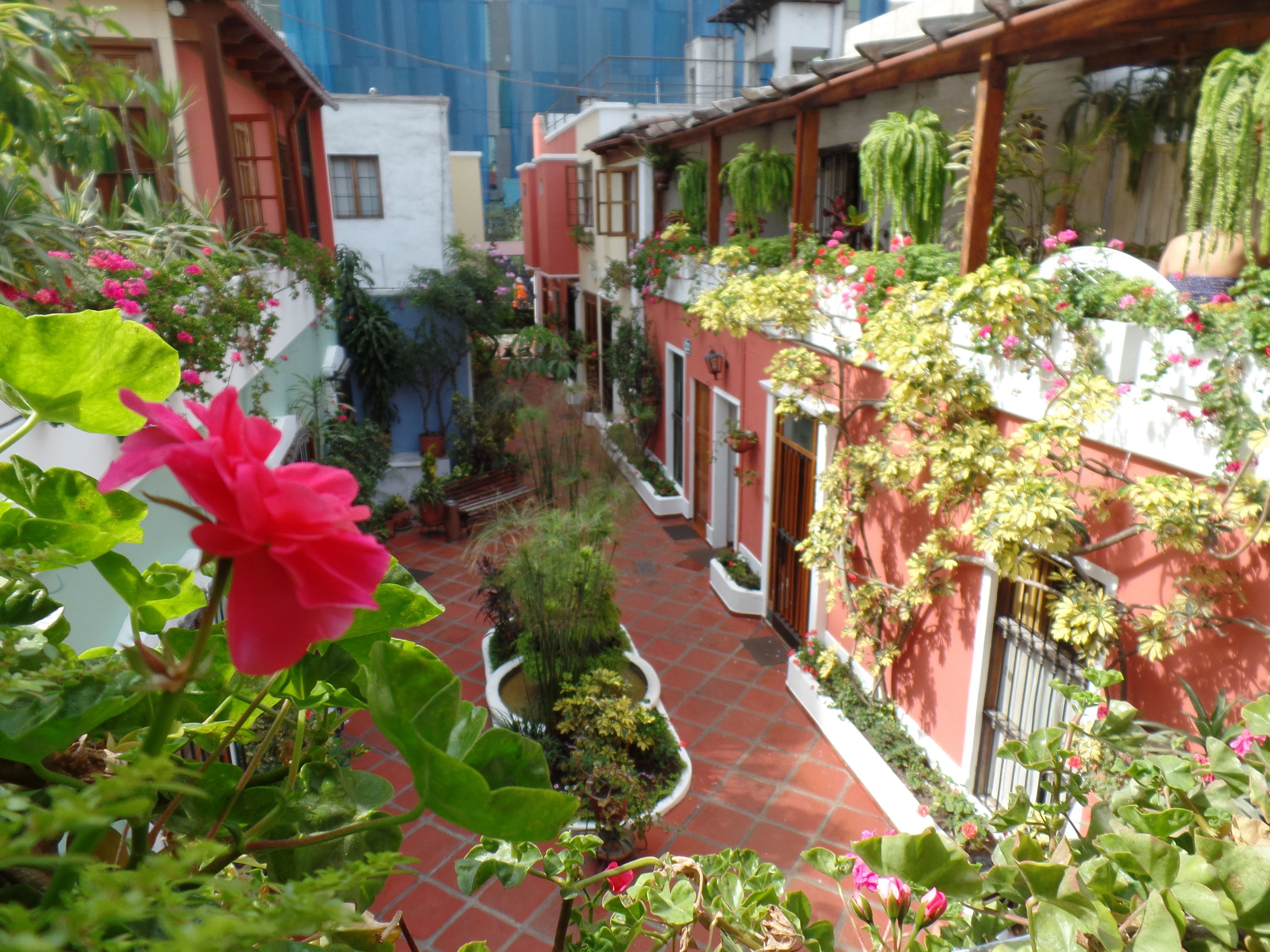 Hostal El Patio B&B by Ayenda