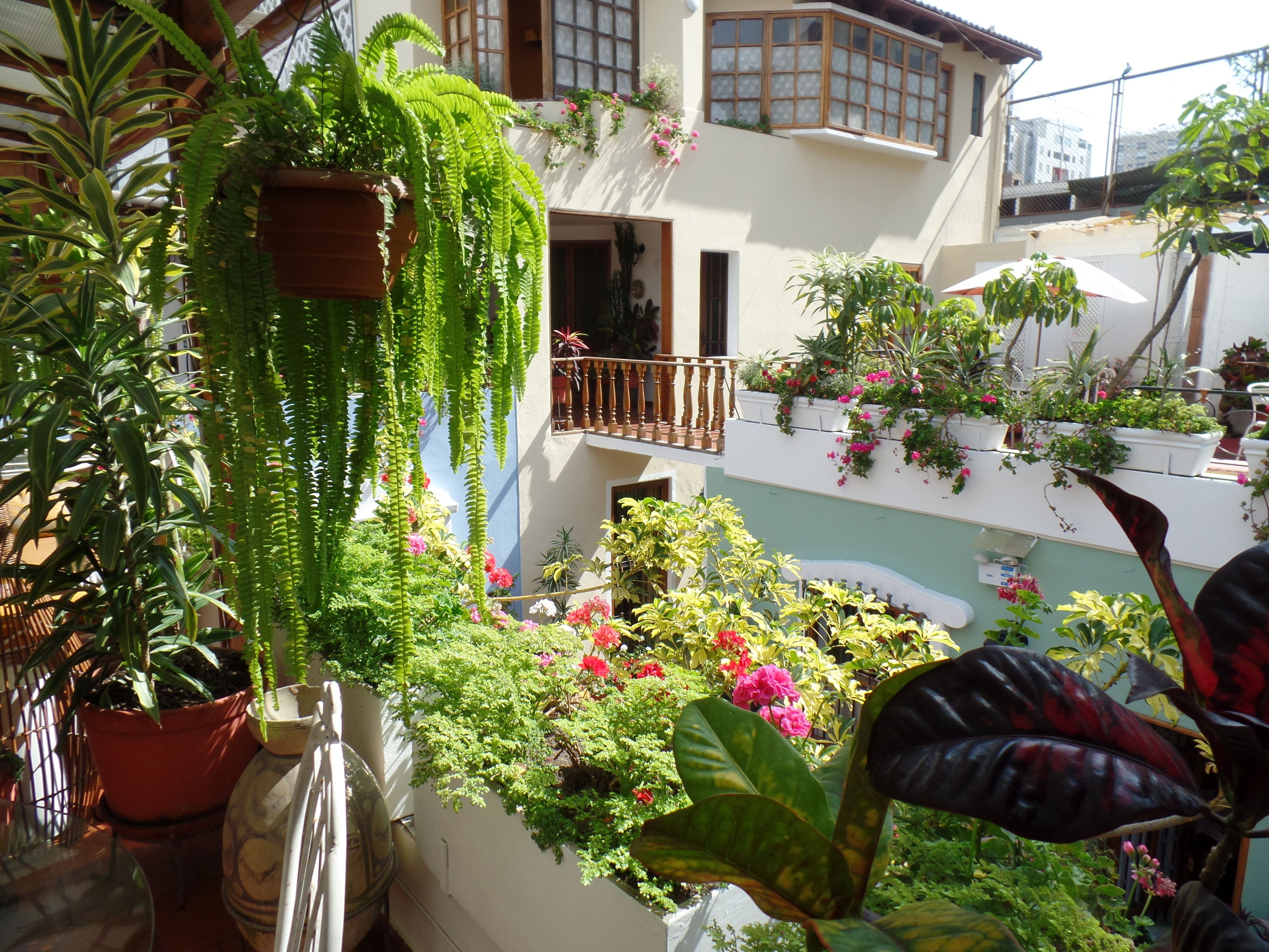 Hostal El Patio B&B by Ayenda