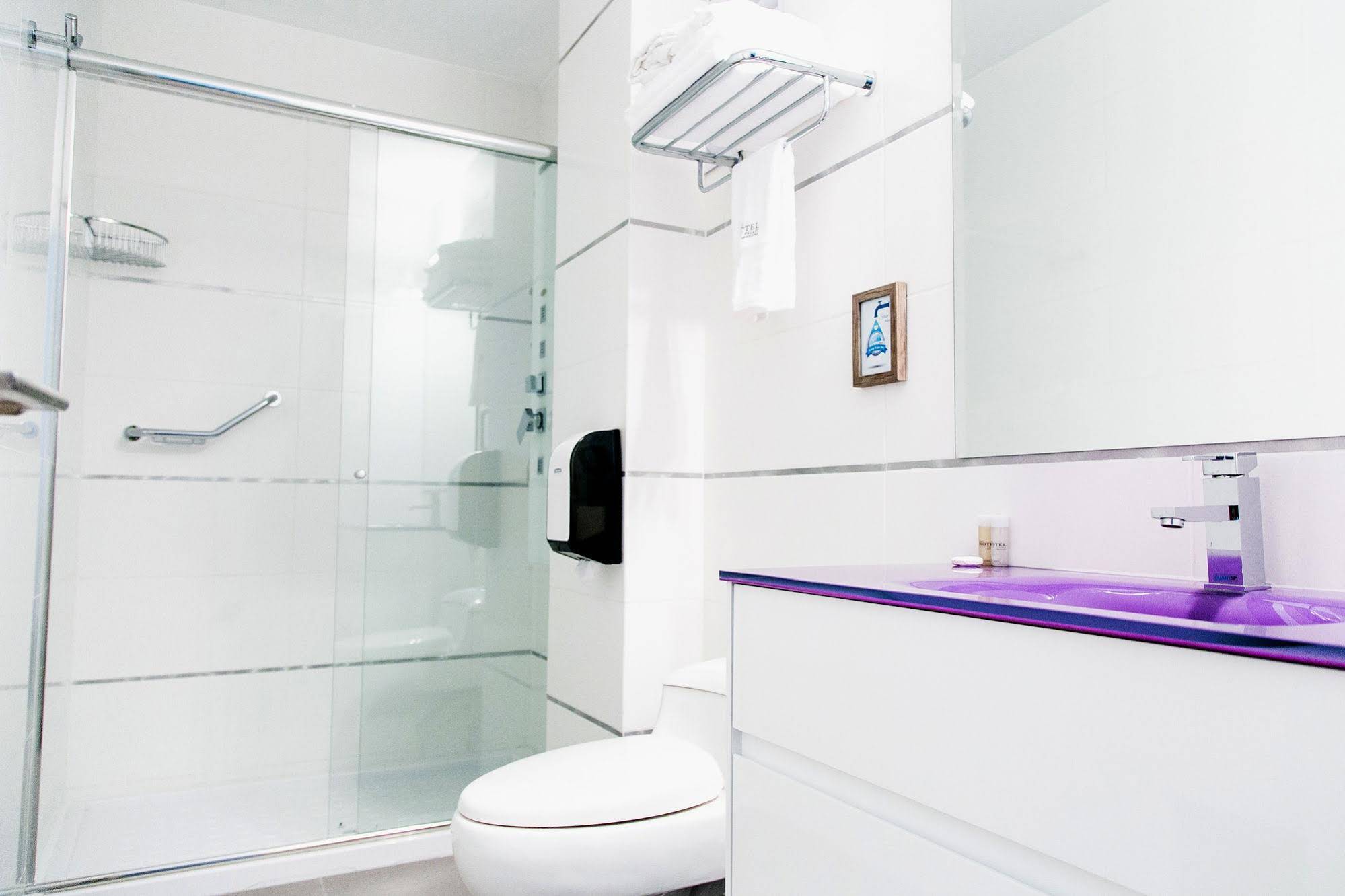 Petit Palace Apart Hotel Suites