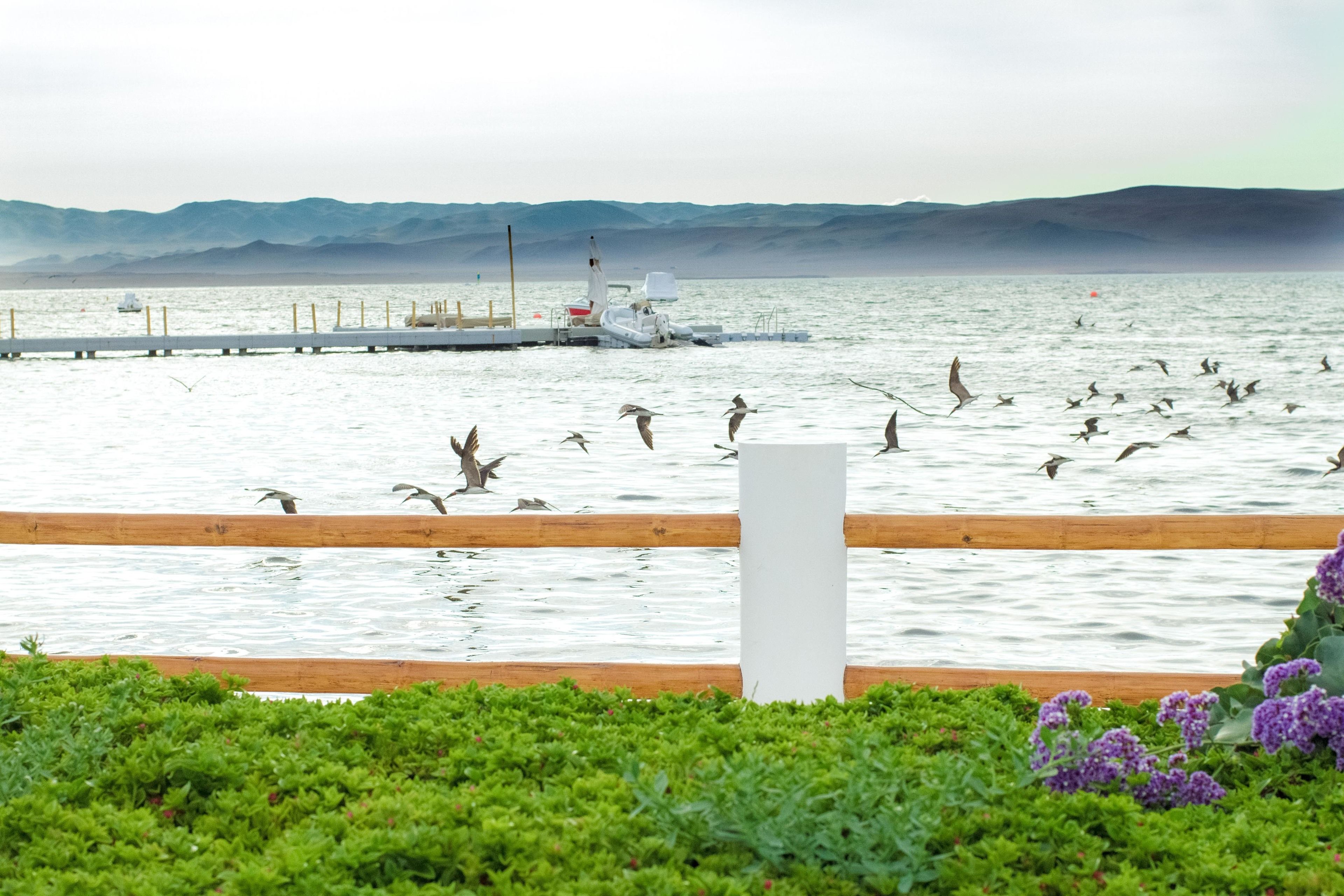 Hotel Paracas, a Luxury Collection Resort, Paracas