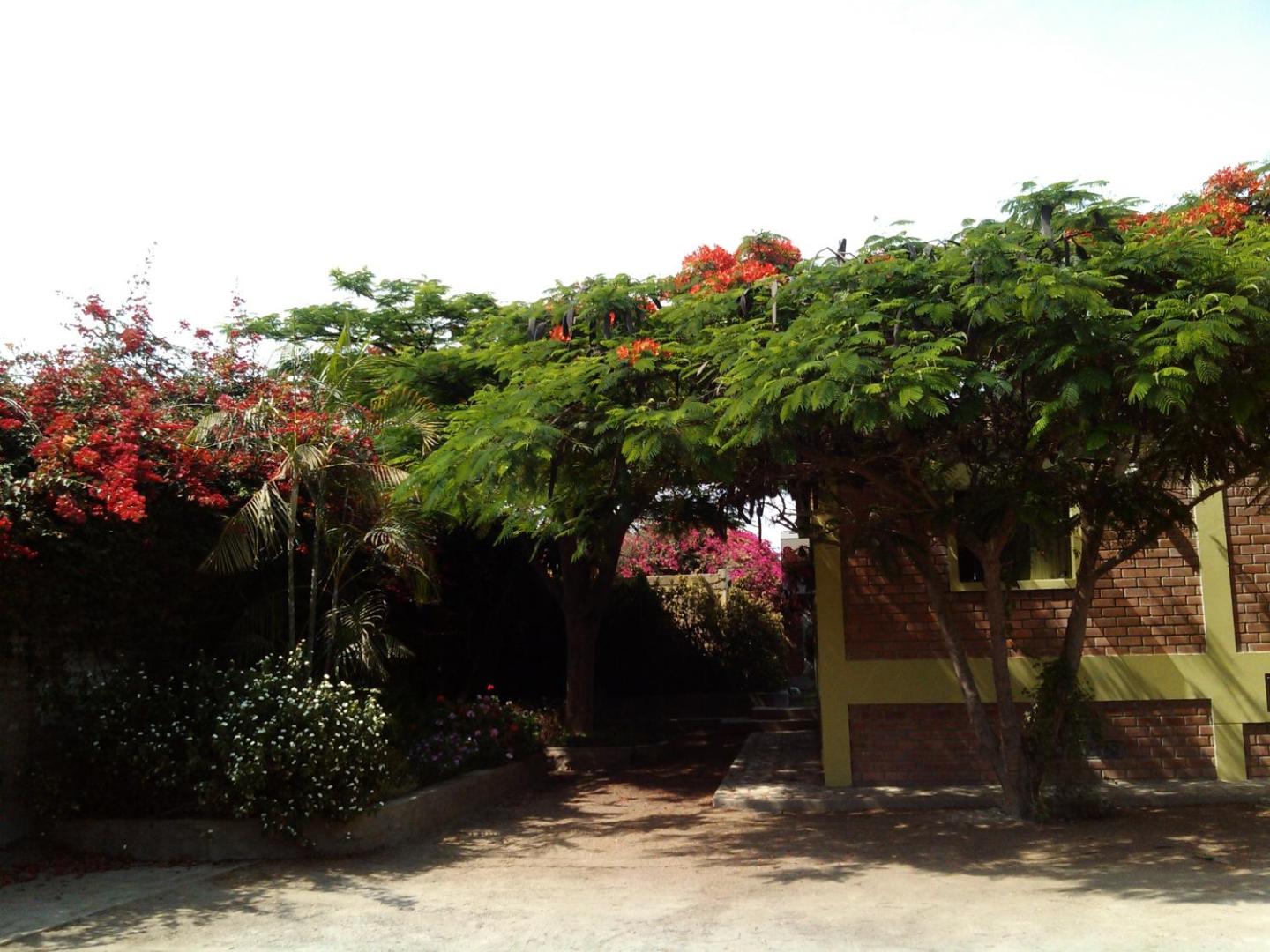 Casa Albergue Huaranjapo