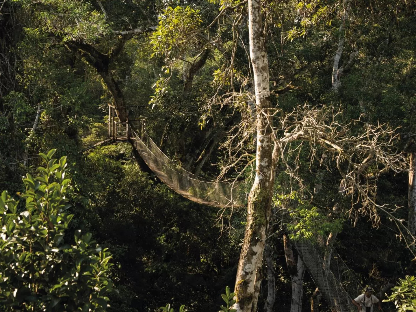 Inkaterra Reserva Amazonica Tambopata