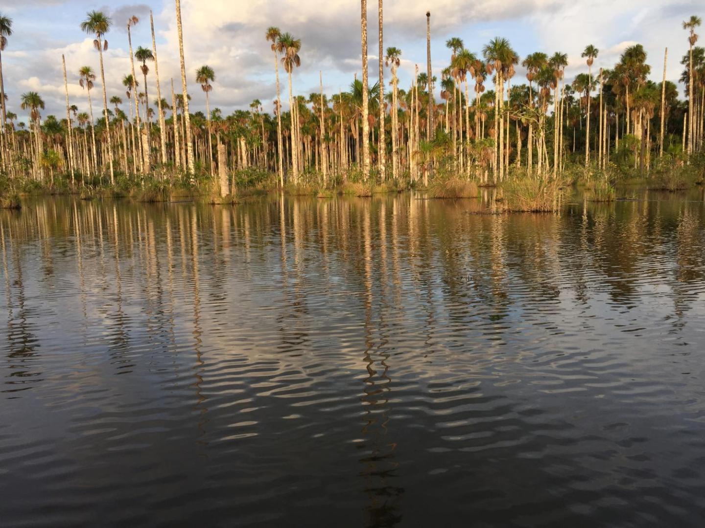 Hacienda Herrera Tambopata