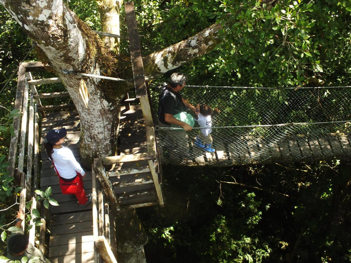 Hacienda Herrera Tambopata