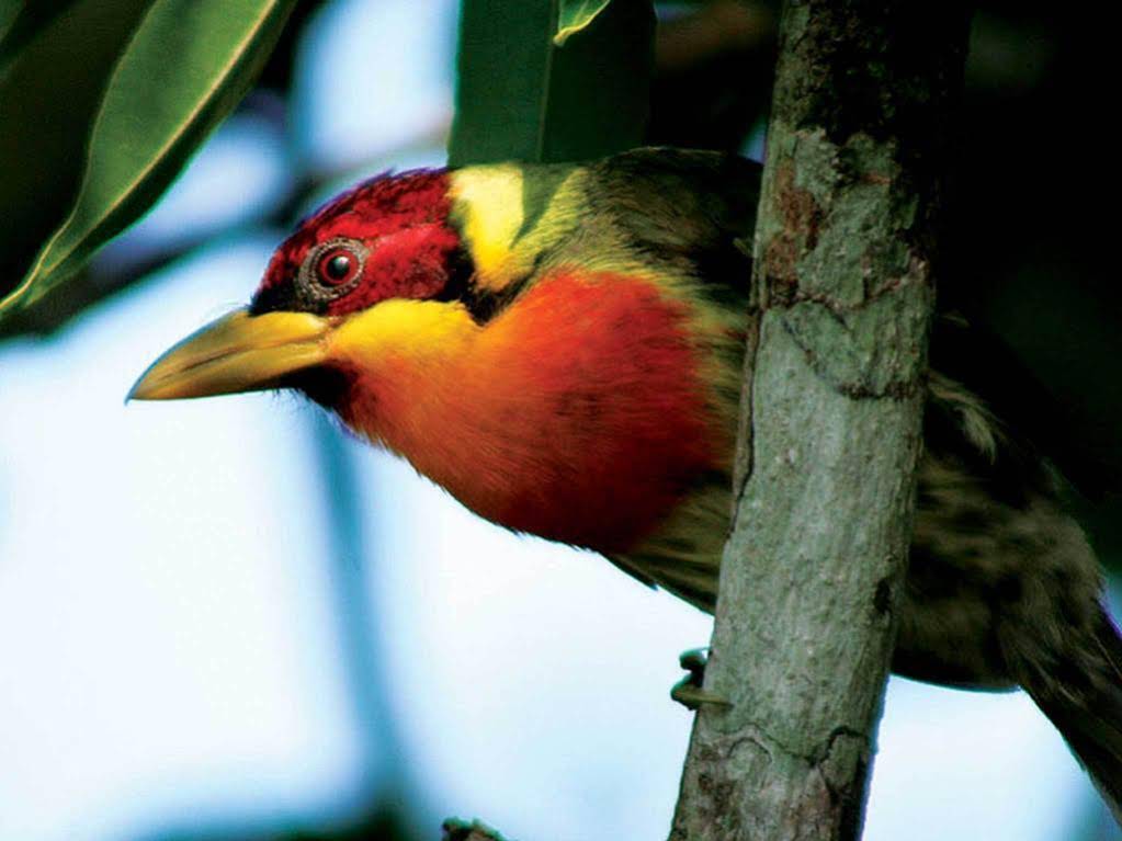 Inkaterra Reserva Amazonica Tambopata