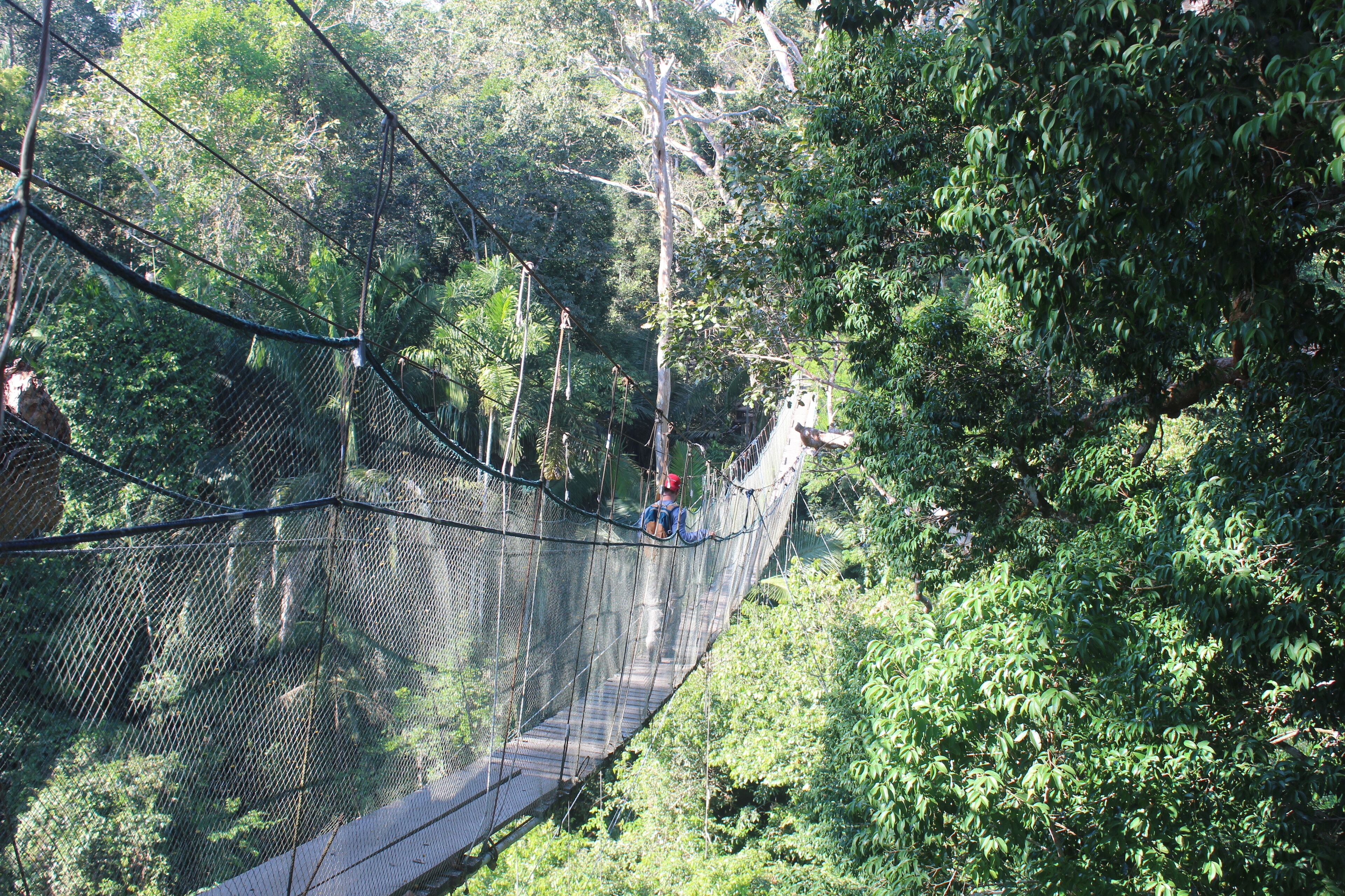 Monte Amazonico Lodge