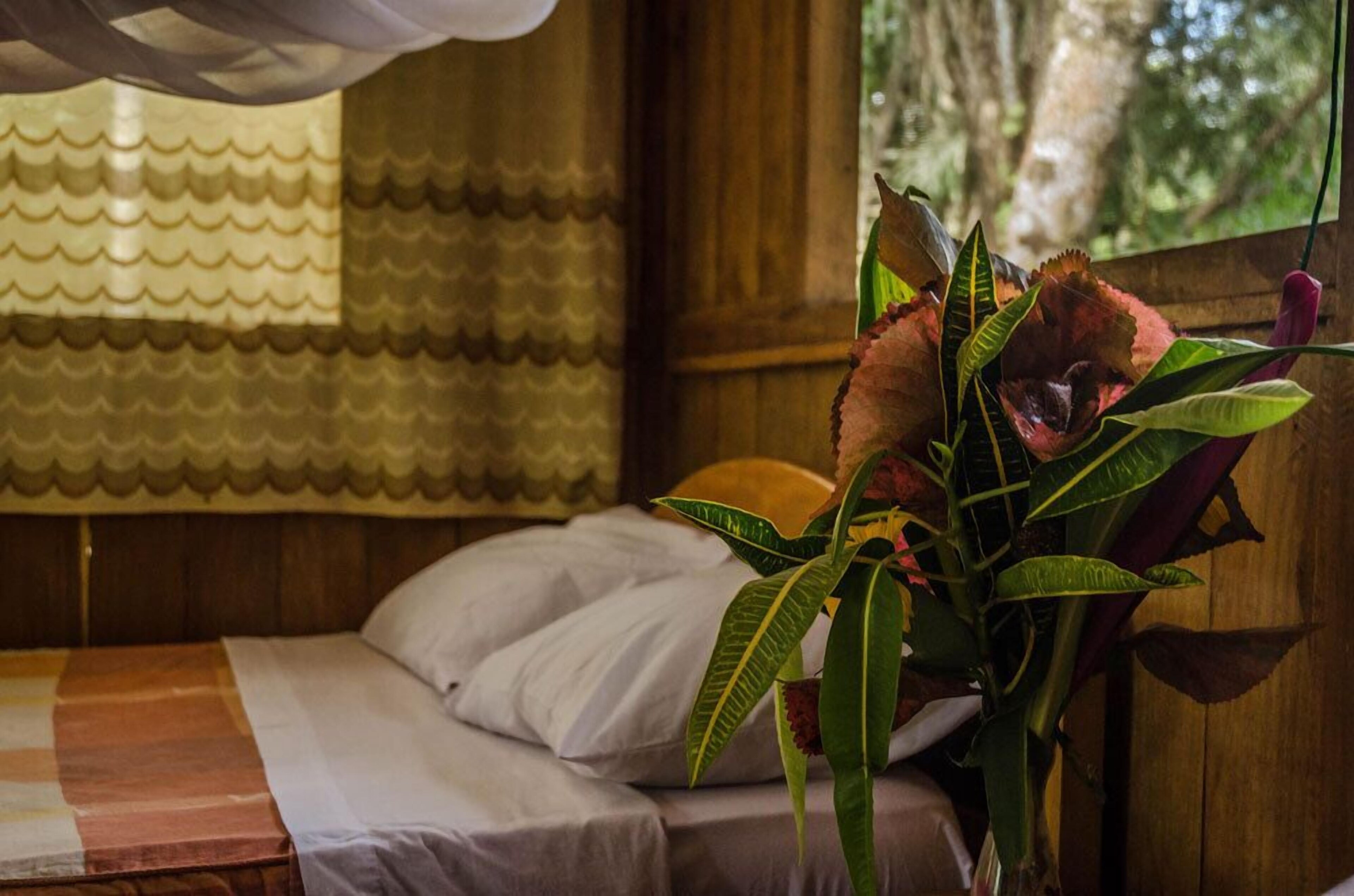 Monte Amazonico Lodge