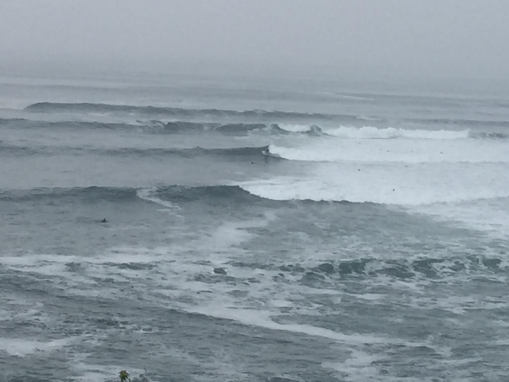 Bravo Surf Camp