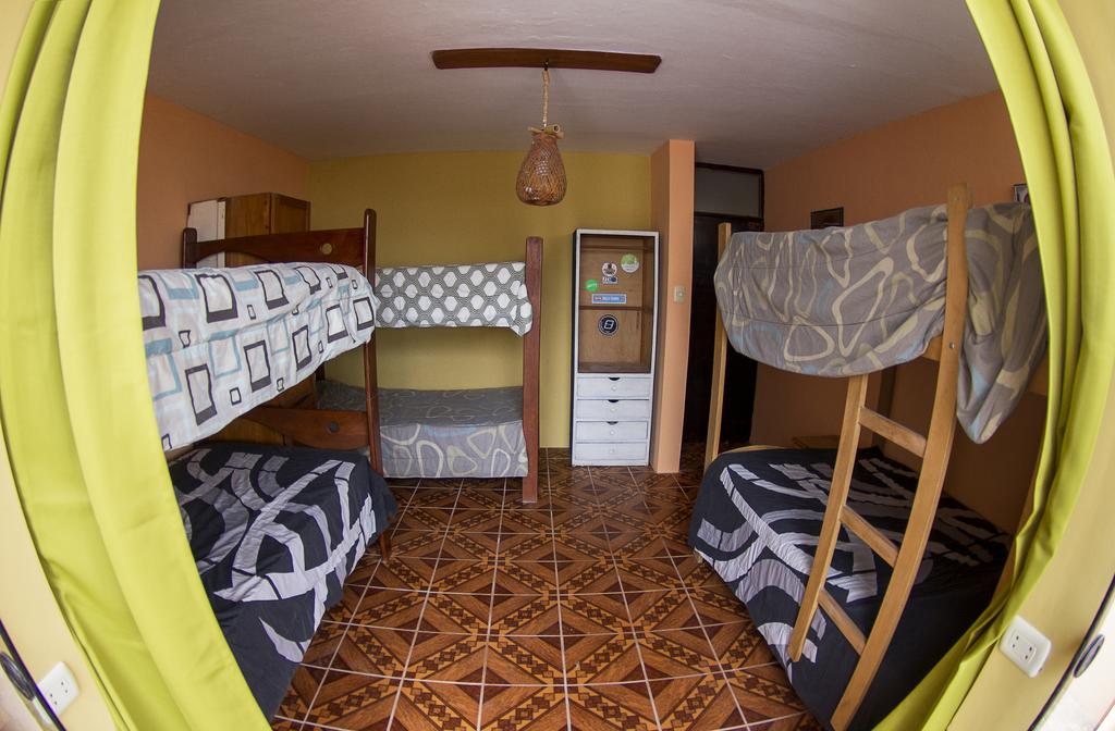 Bravo Surf Camp