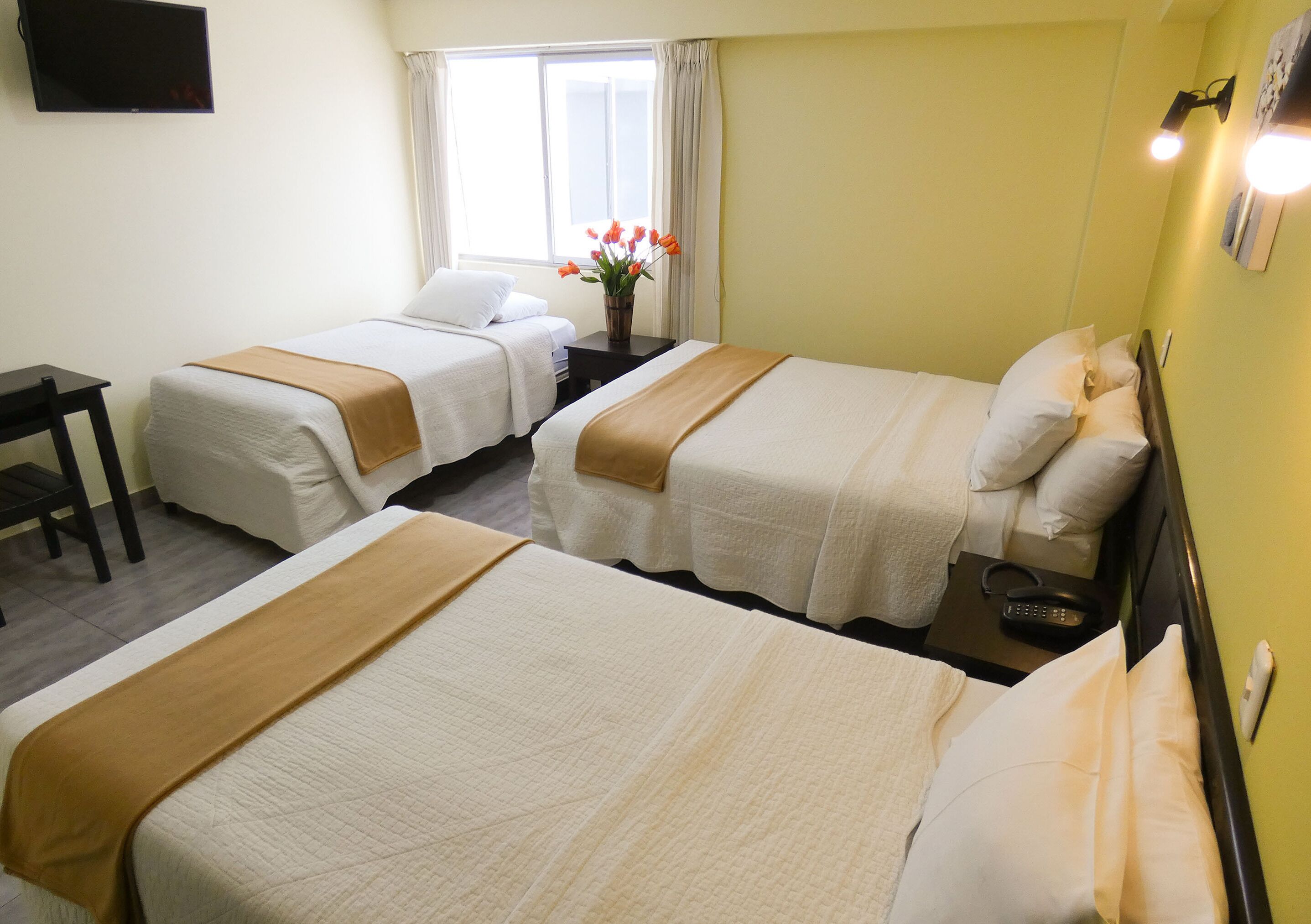 Nuevo Hotel Plaza El Carmen