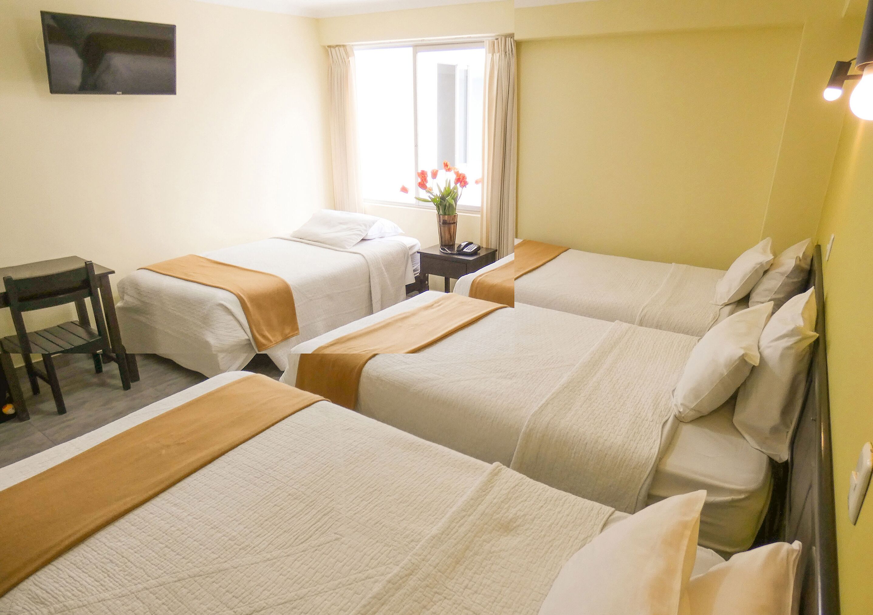 Nuevo Hotel Plaza El Carmen