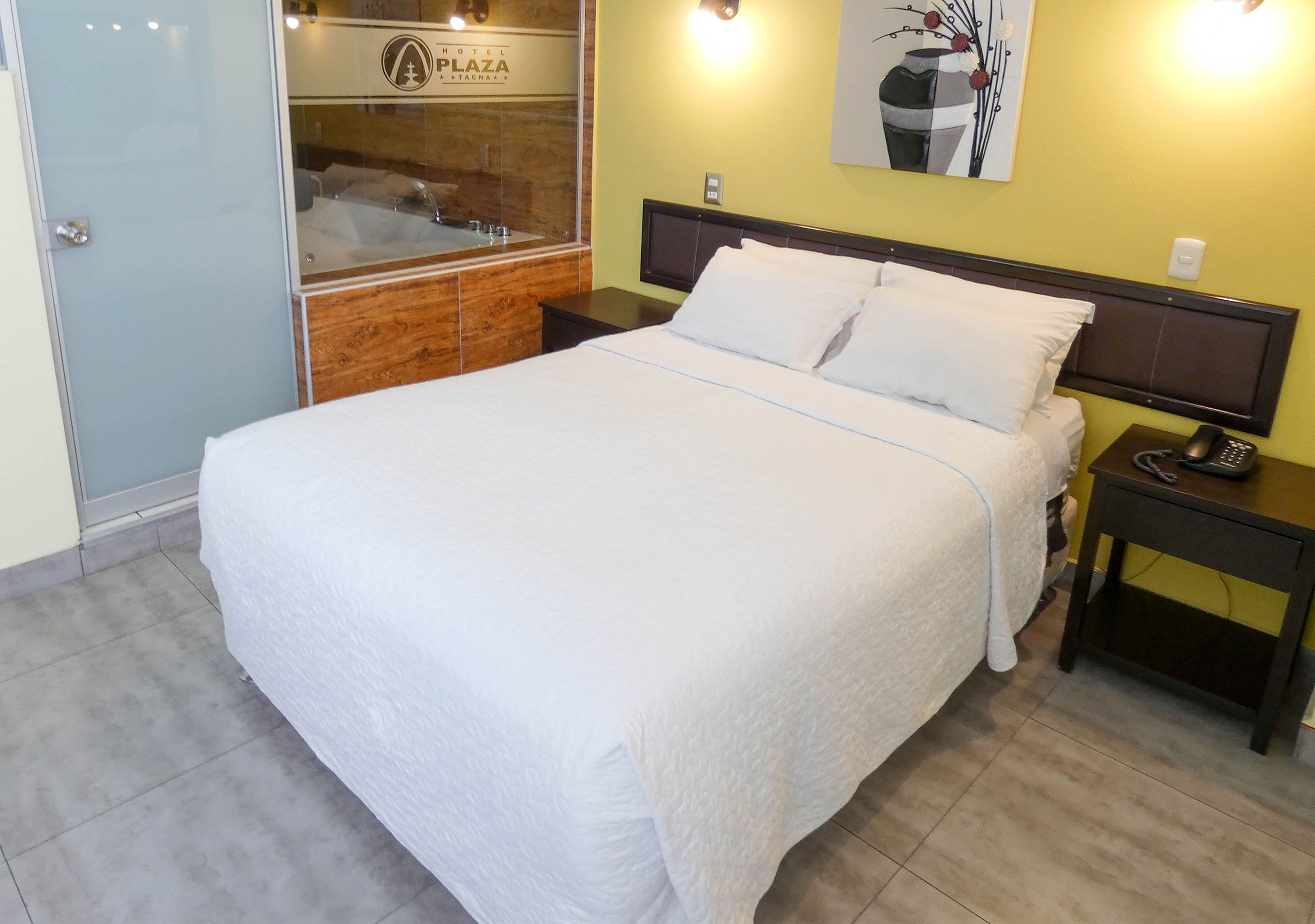 Nuevo Hotel Plaza El Carmen