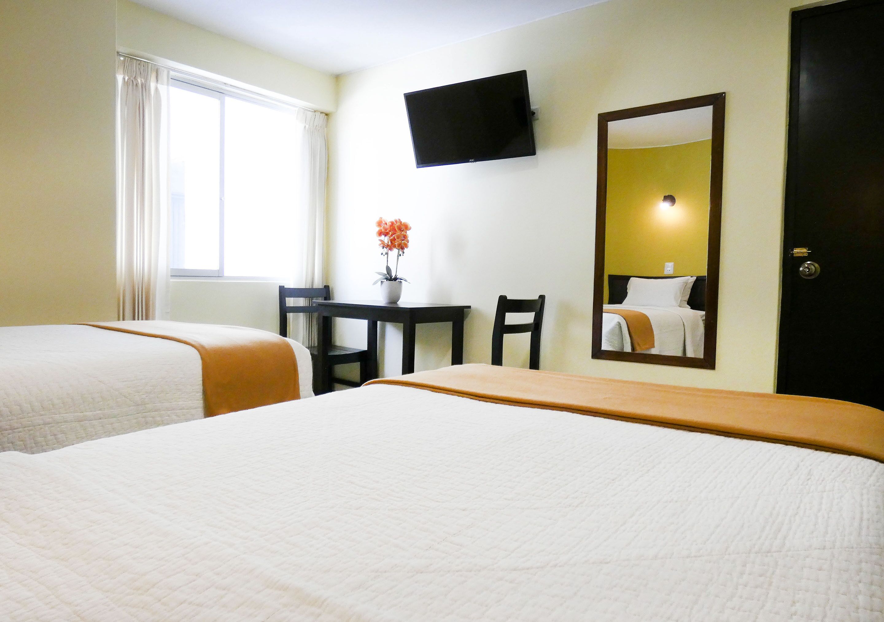 Nuevo Hotel Plaza El Carmen