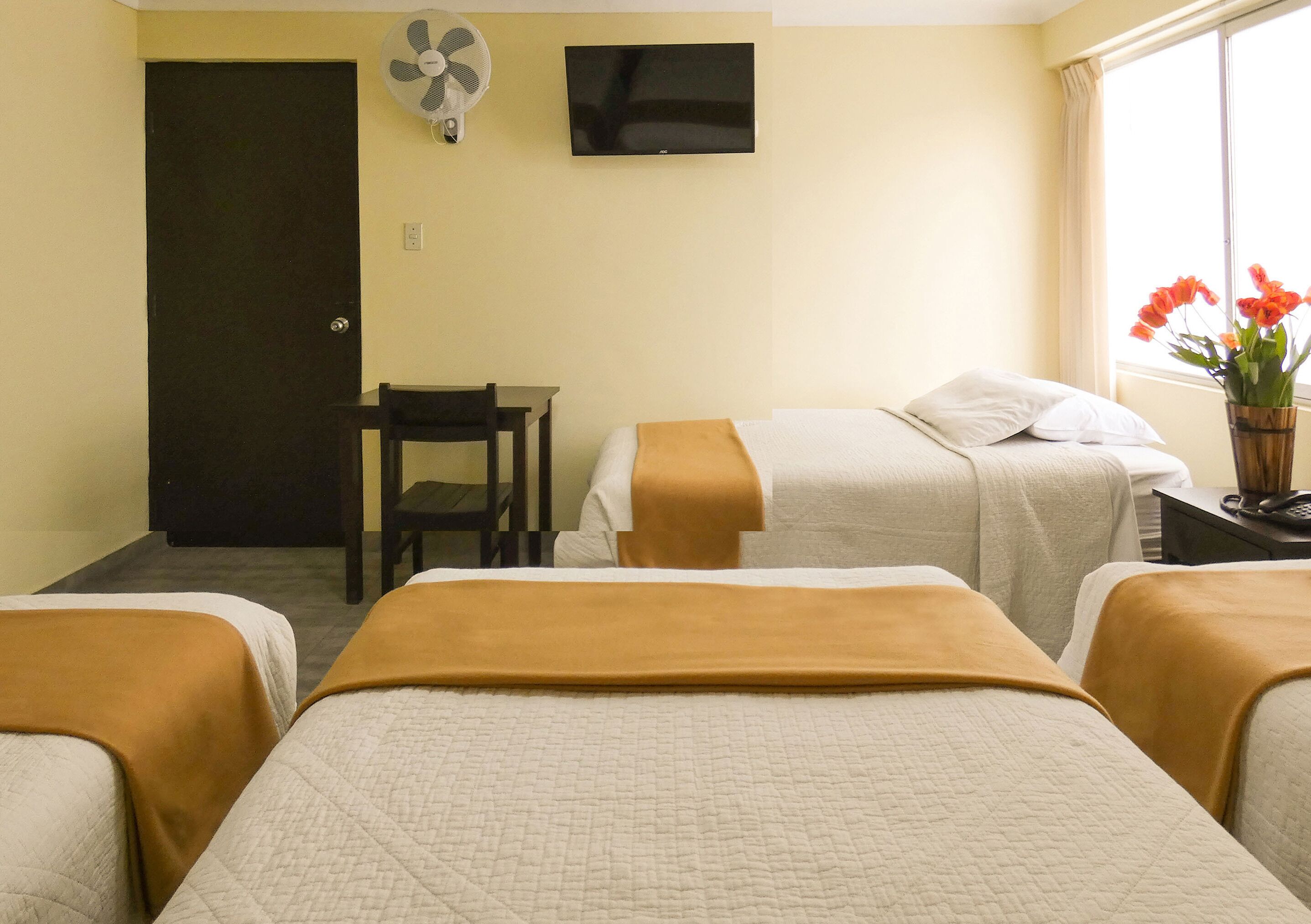 Nuevo Hotel Plaza El Carmen