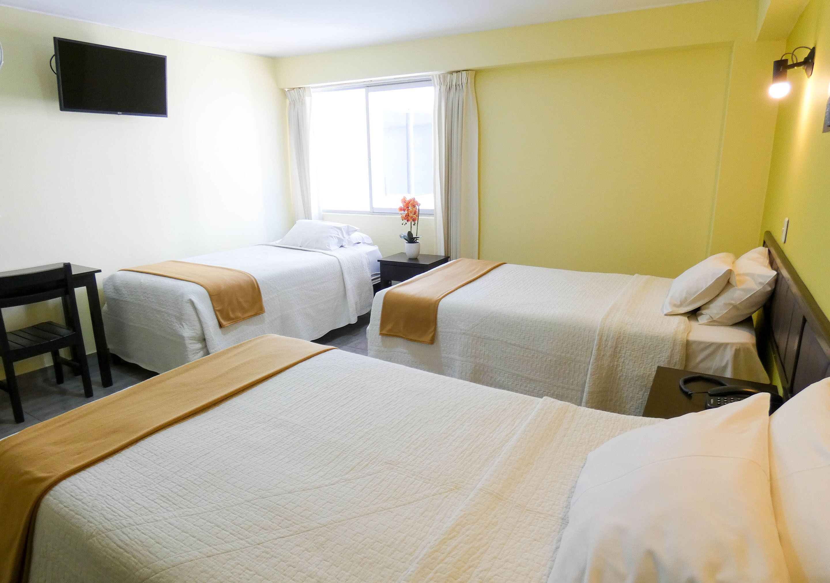 Nuevo Hotel Plaza El Carmen