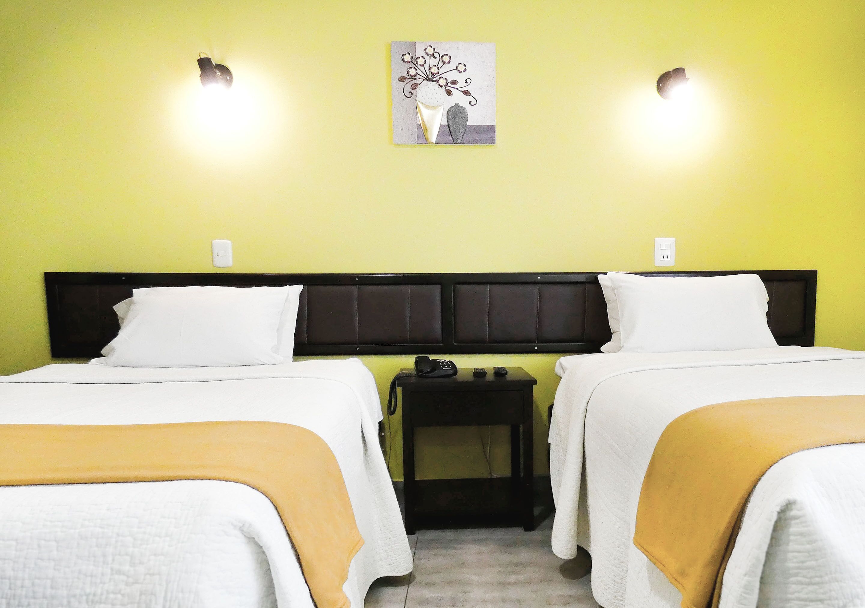 Nuevo Hotel Plaza El Carmen