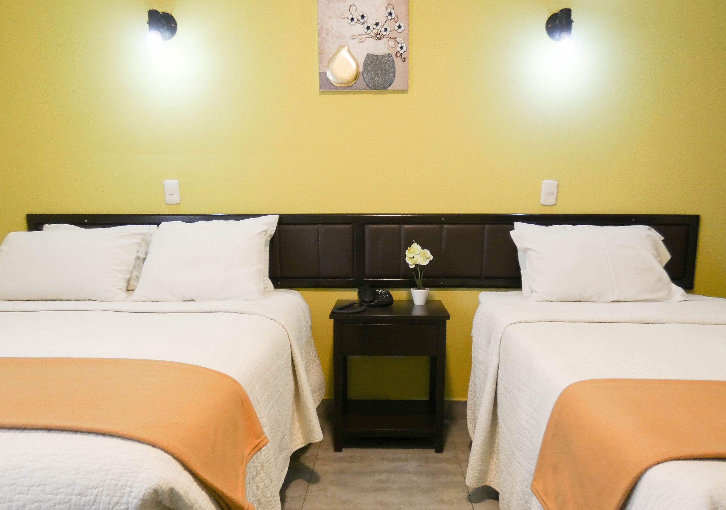 Nuevo Hotel Plaza El Carmen