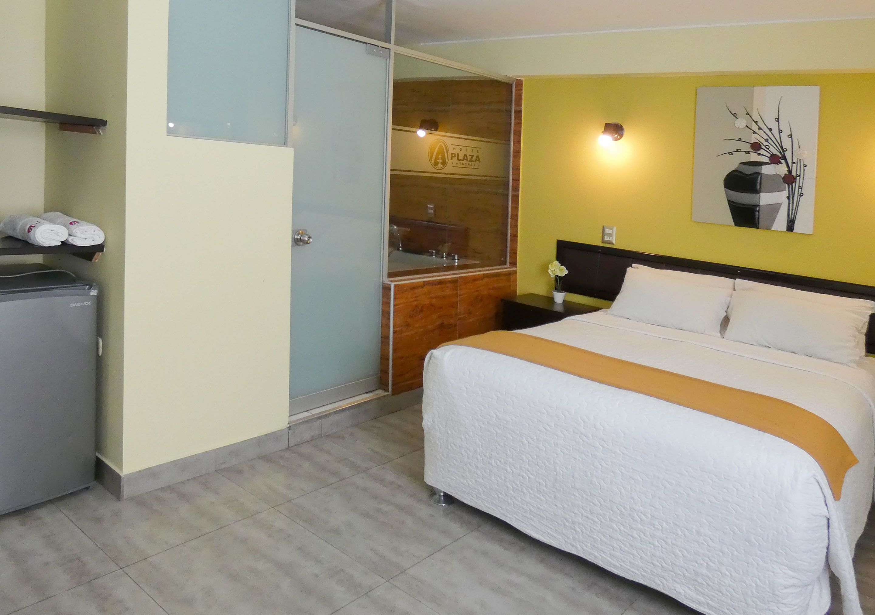 Nuevo Hotel Plaza El Carmen