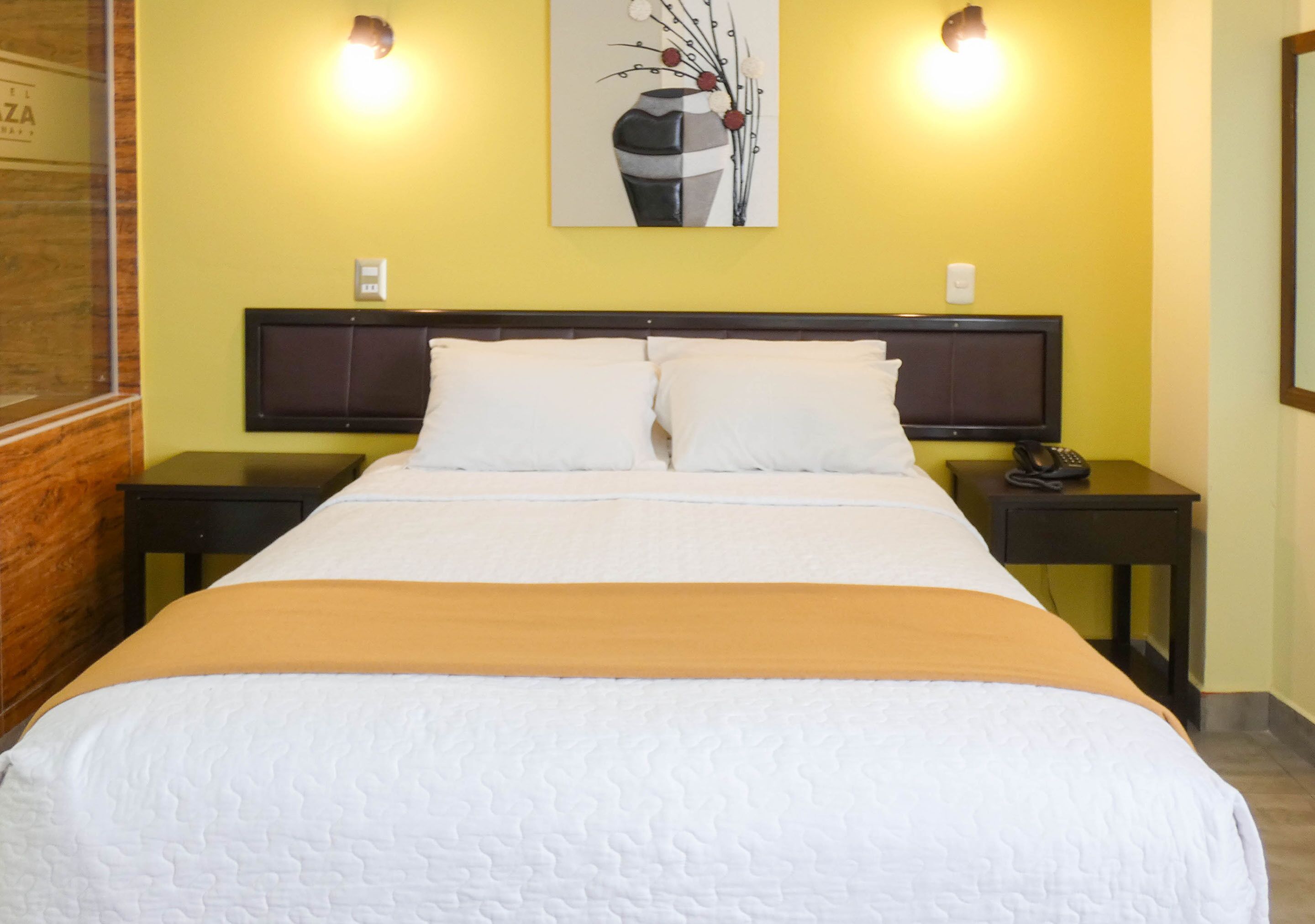 Nuevo Hotel Plaza El Carmen