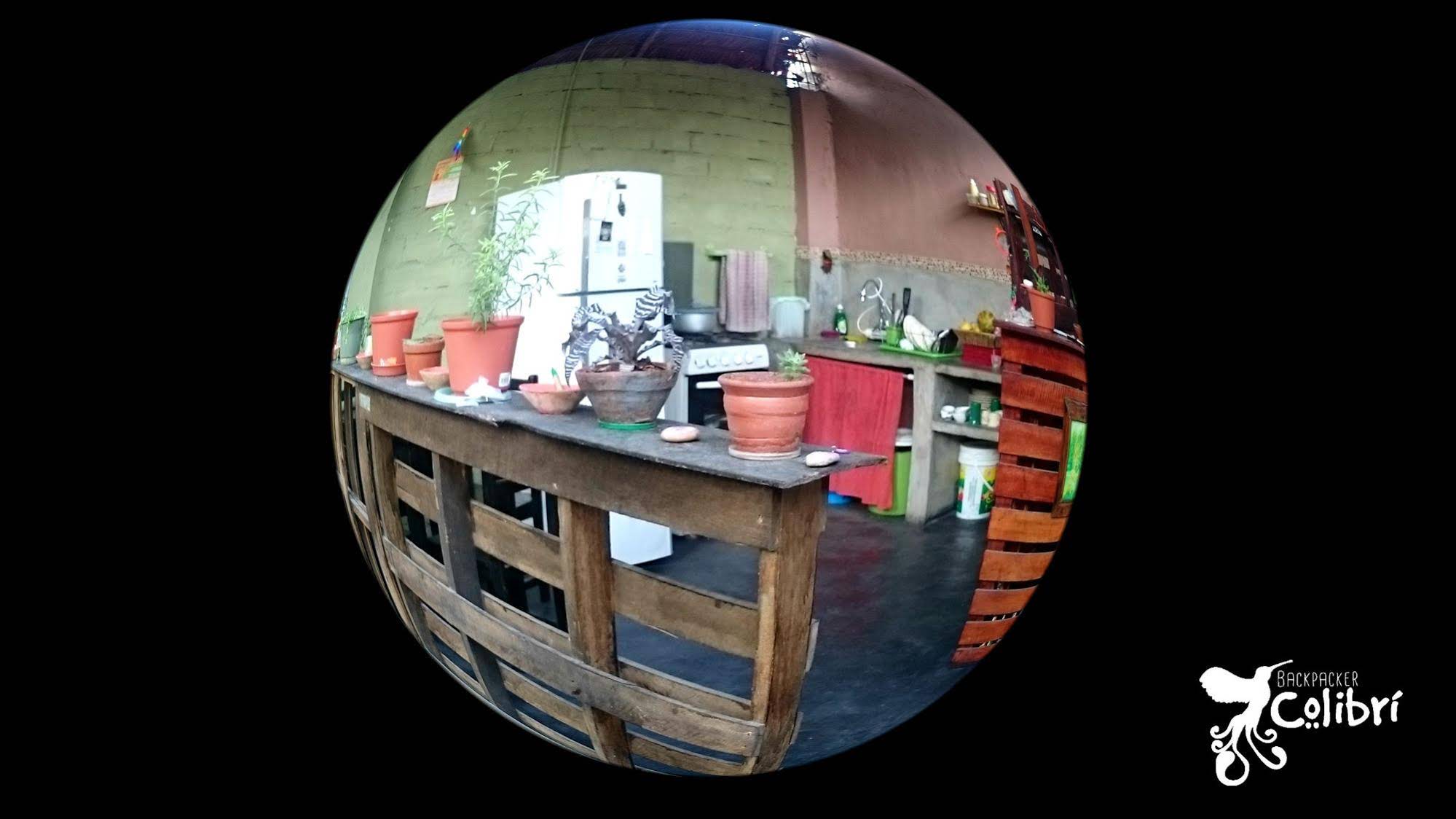 Backpacker Colibri Tarapoto