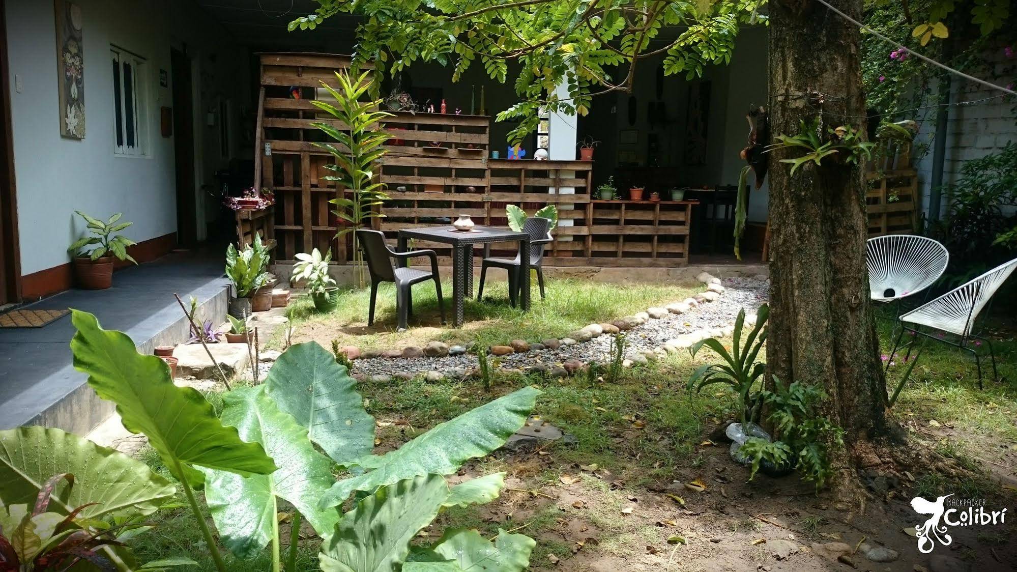 Backpacker Colibri Tarapoto