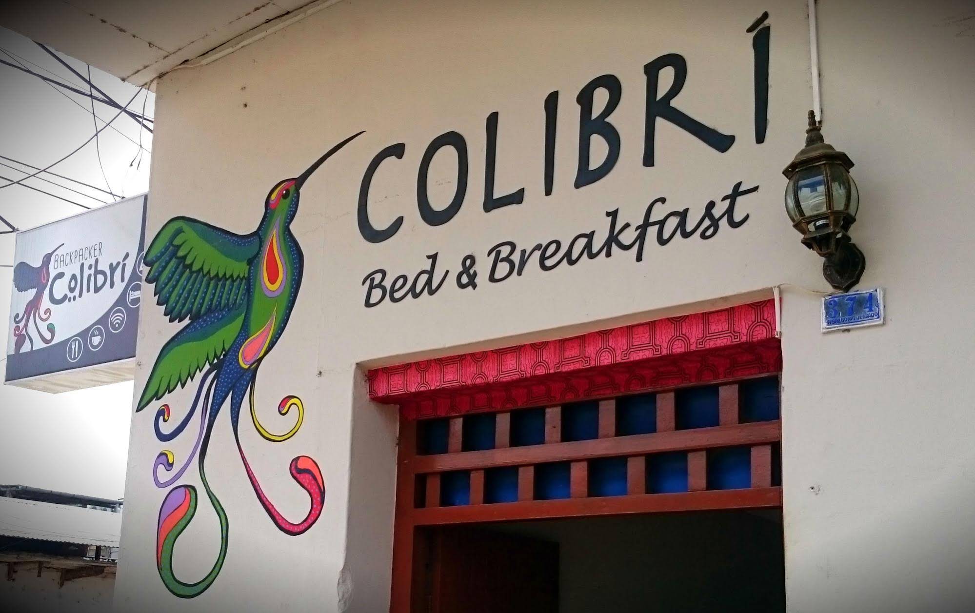 Backpacker Colibri Tarapoto