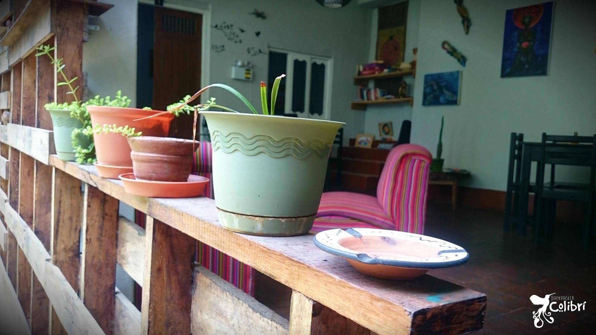Backpacker Colibri Tarapoto