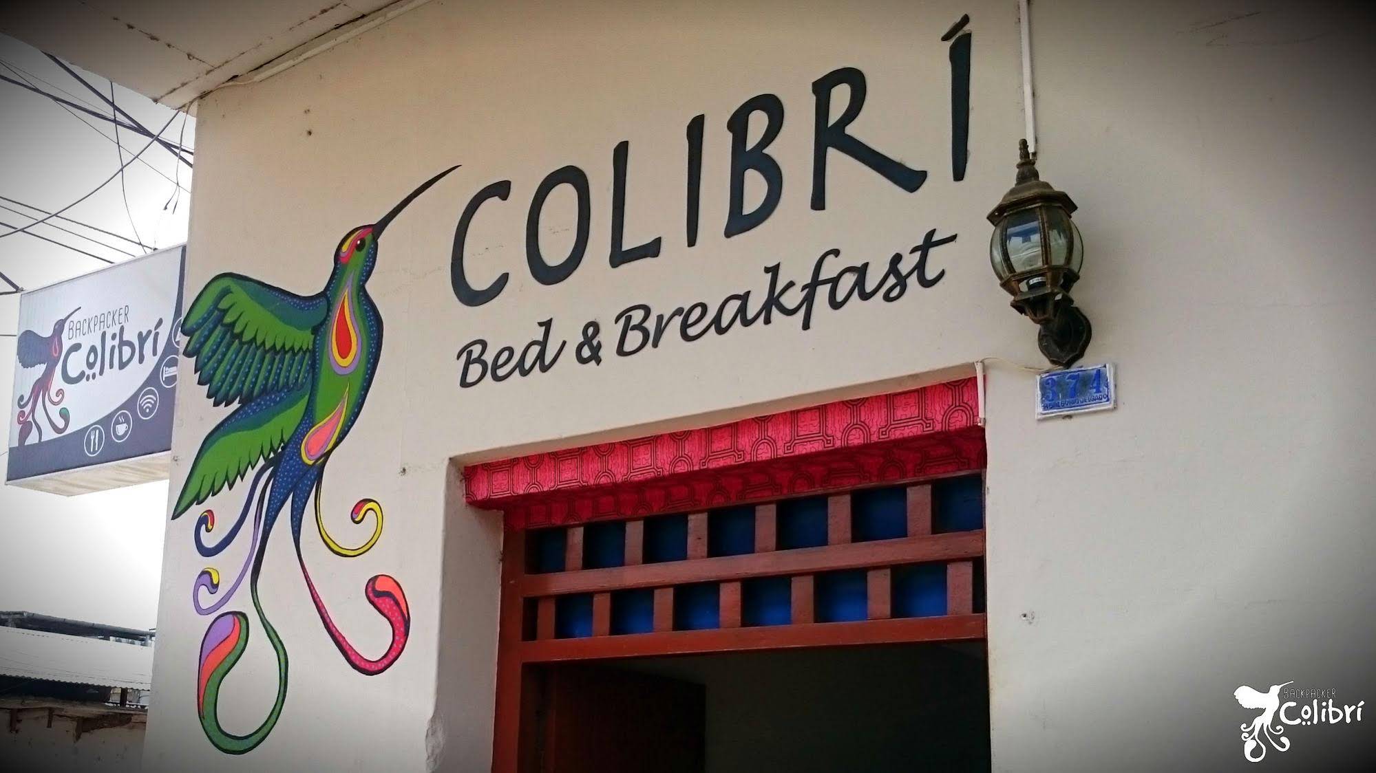 Backpacker Colibri Tarapoto