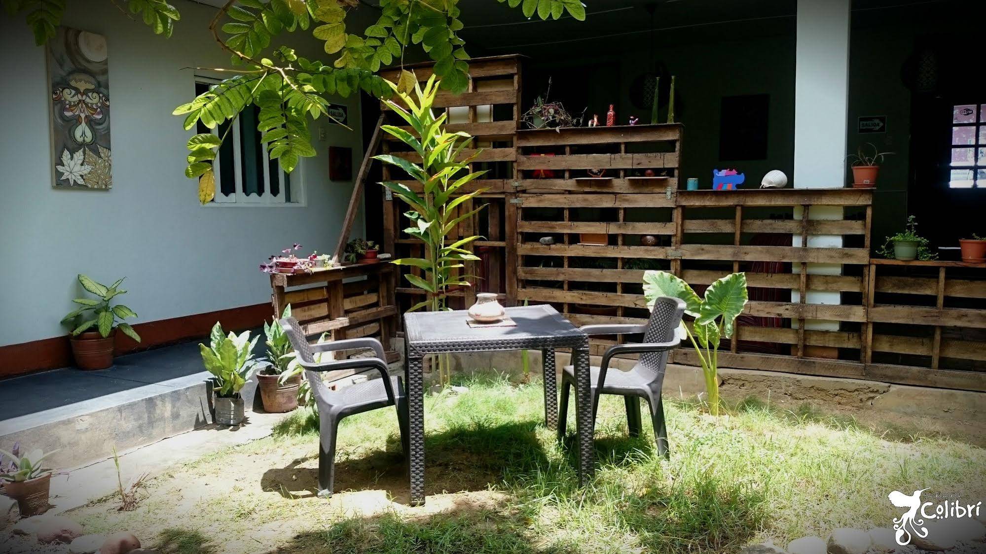 Backpacker Colibri Tarapoto