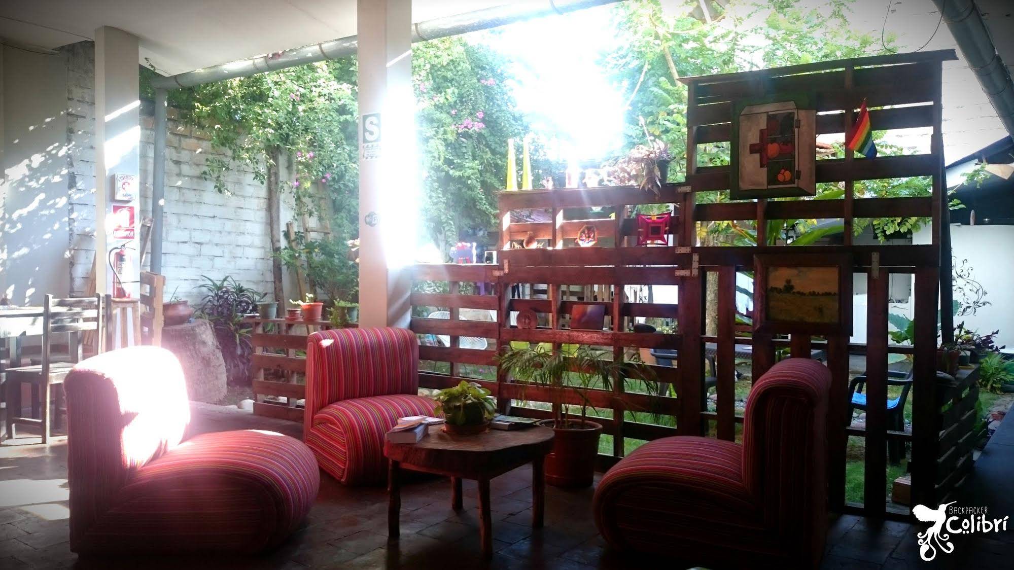 Backpacker Colibri Tarapoto