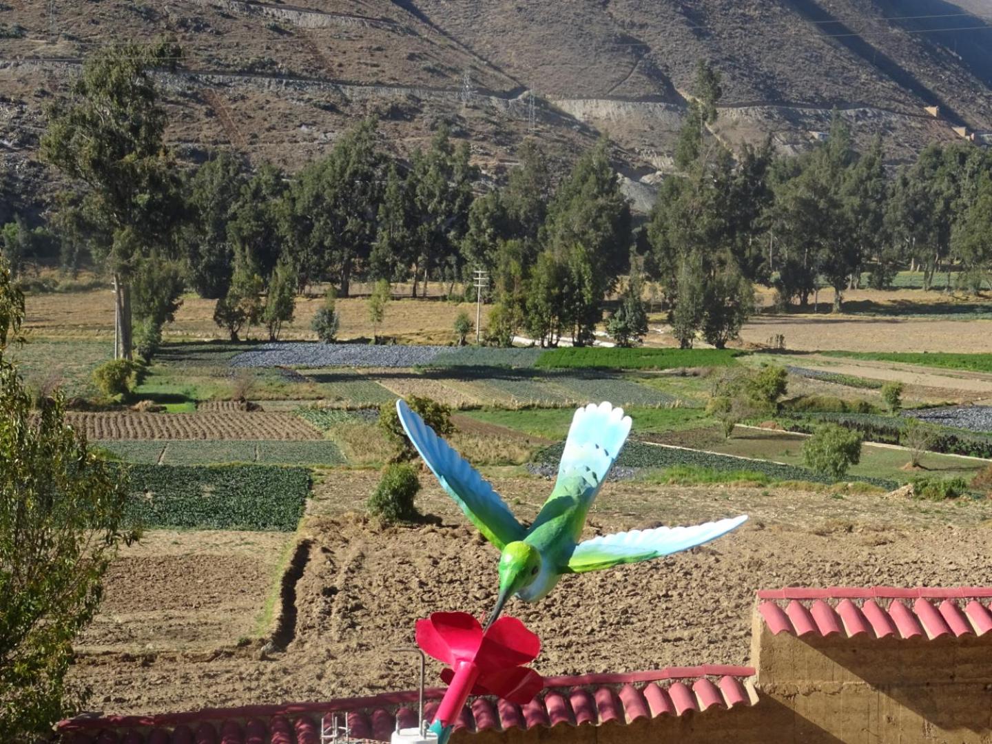 La Finca Tarma