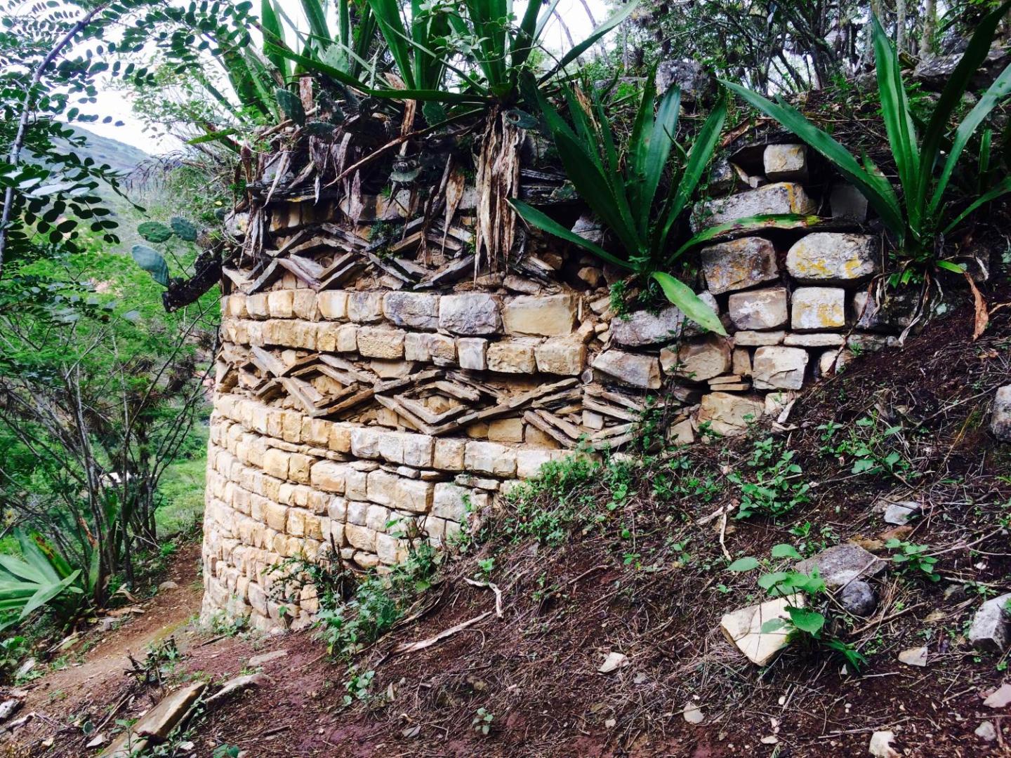 Ekokuelap Hospedaje Ecologico