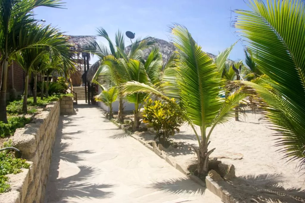 Baja Canoas Hotel