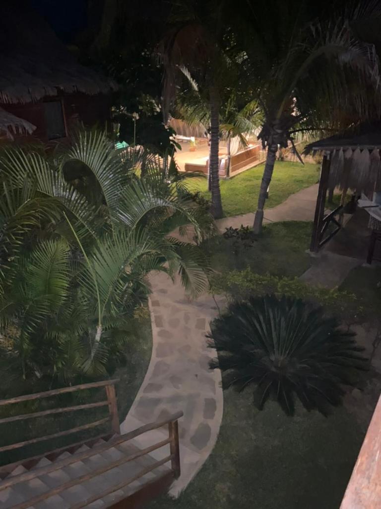 Entre Palmeras