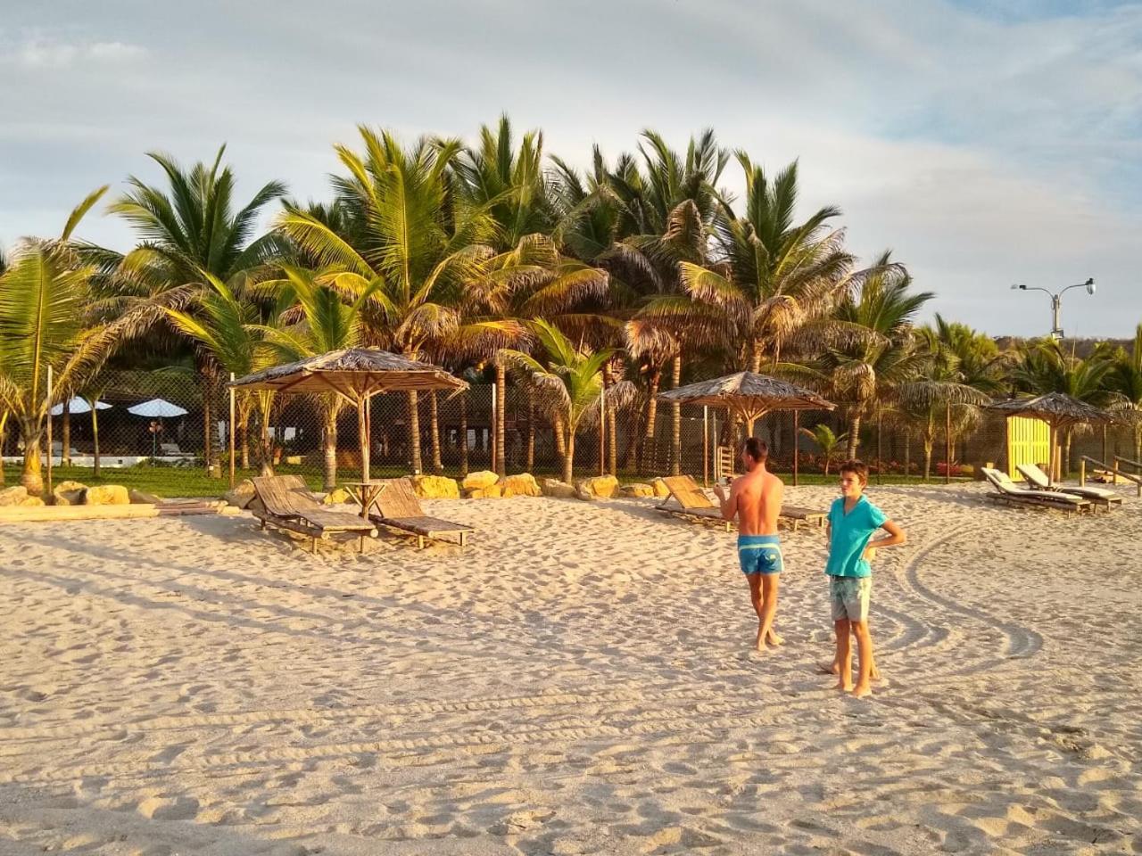 Entre Palmeras