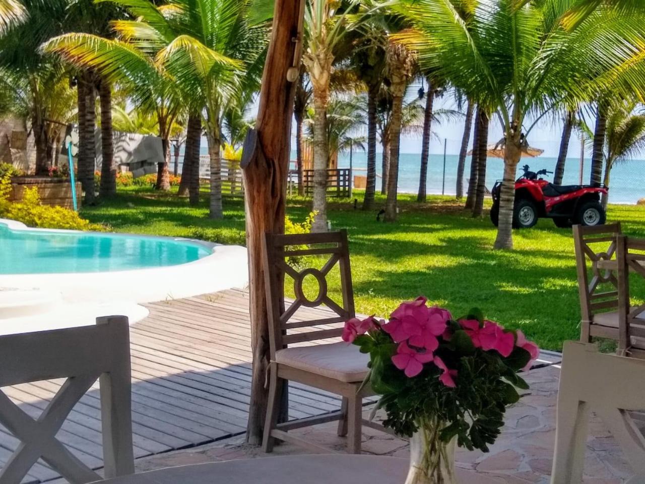 Entre Palmeras