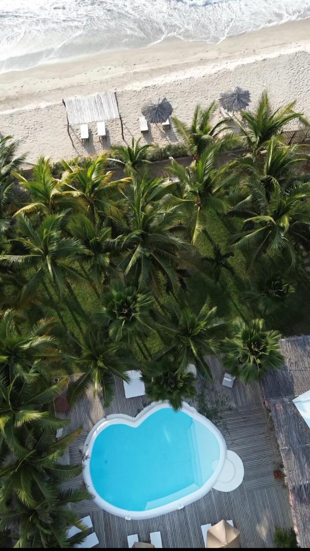 Entre Palmeras