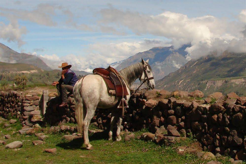 Tradición Colca