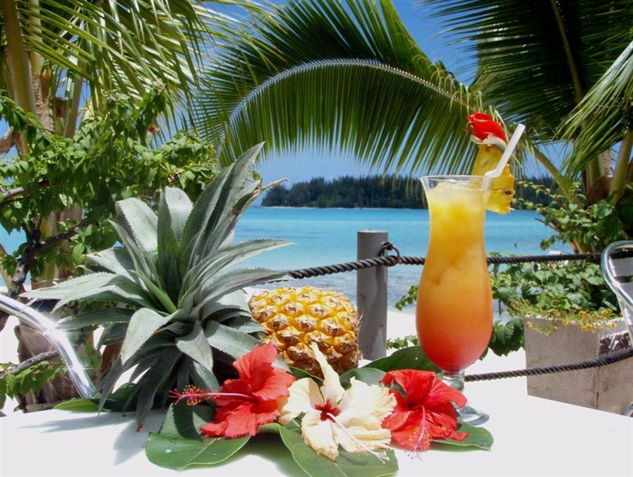 Hotel Hibiscus