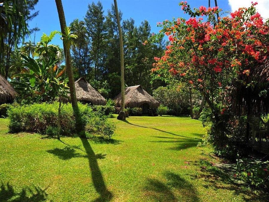 Hotel Hibiscus
