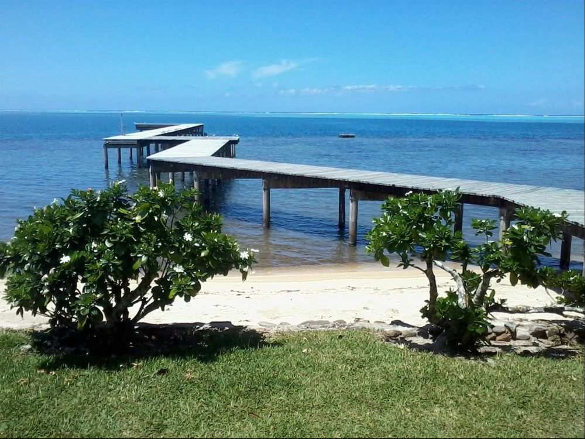 Linareva  Moorea