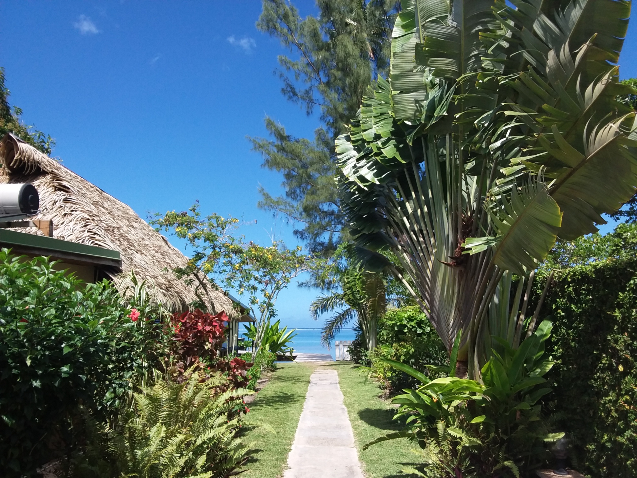 Linareva  Moorea