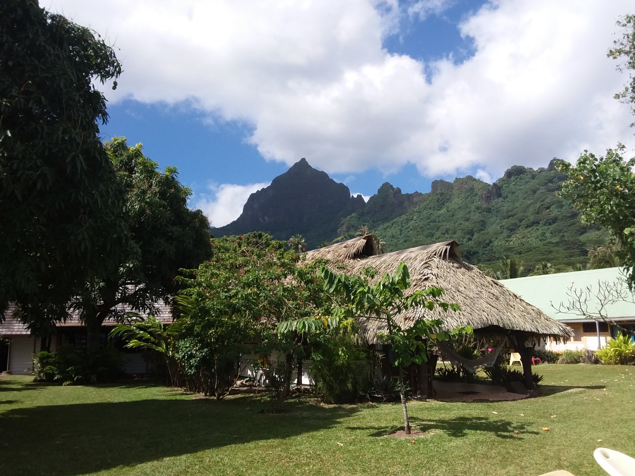 Linareva  Moorea