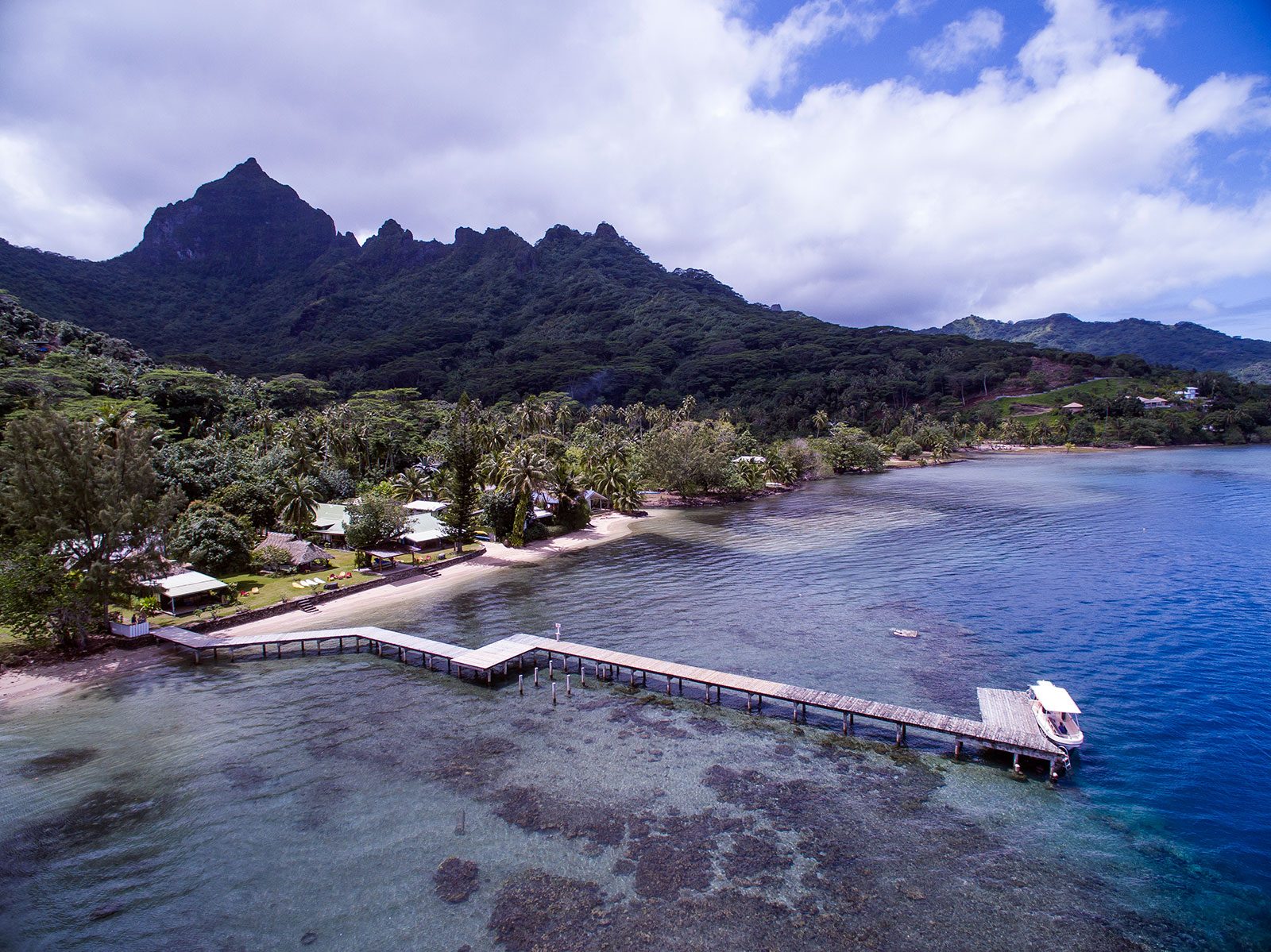 Linareva  Moorea