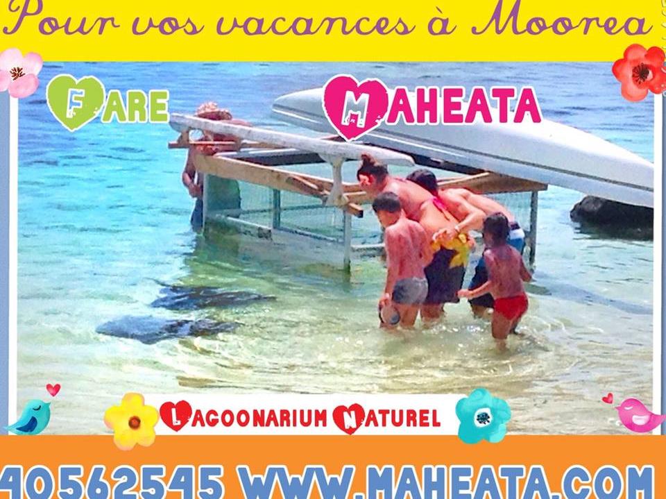Pension Fare Maheata