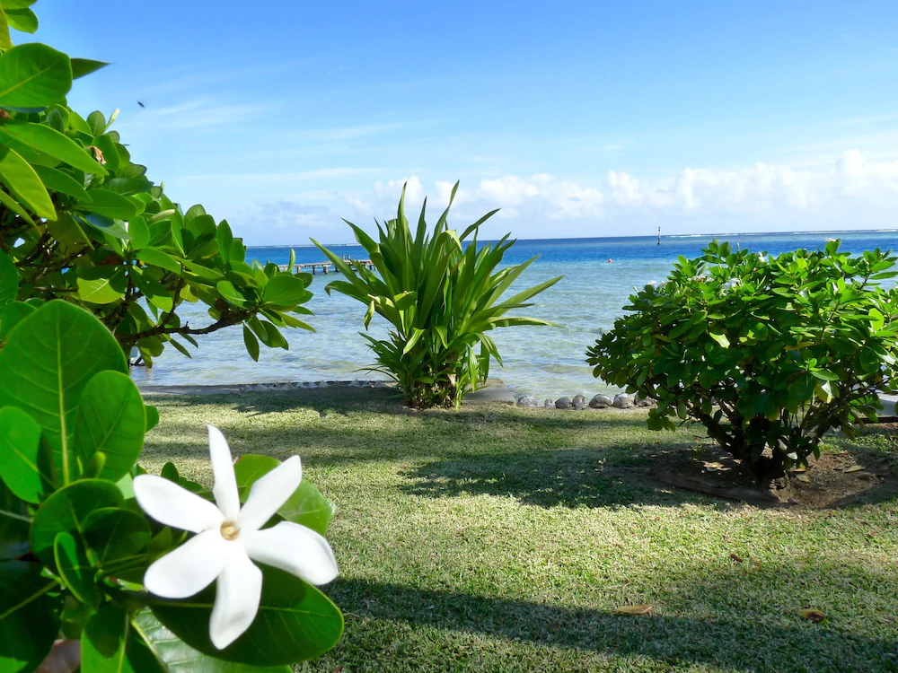Poerani Moorea