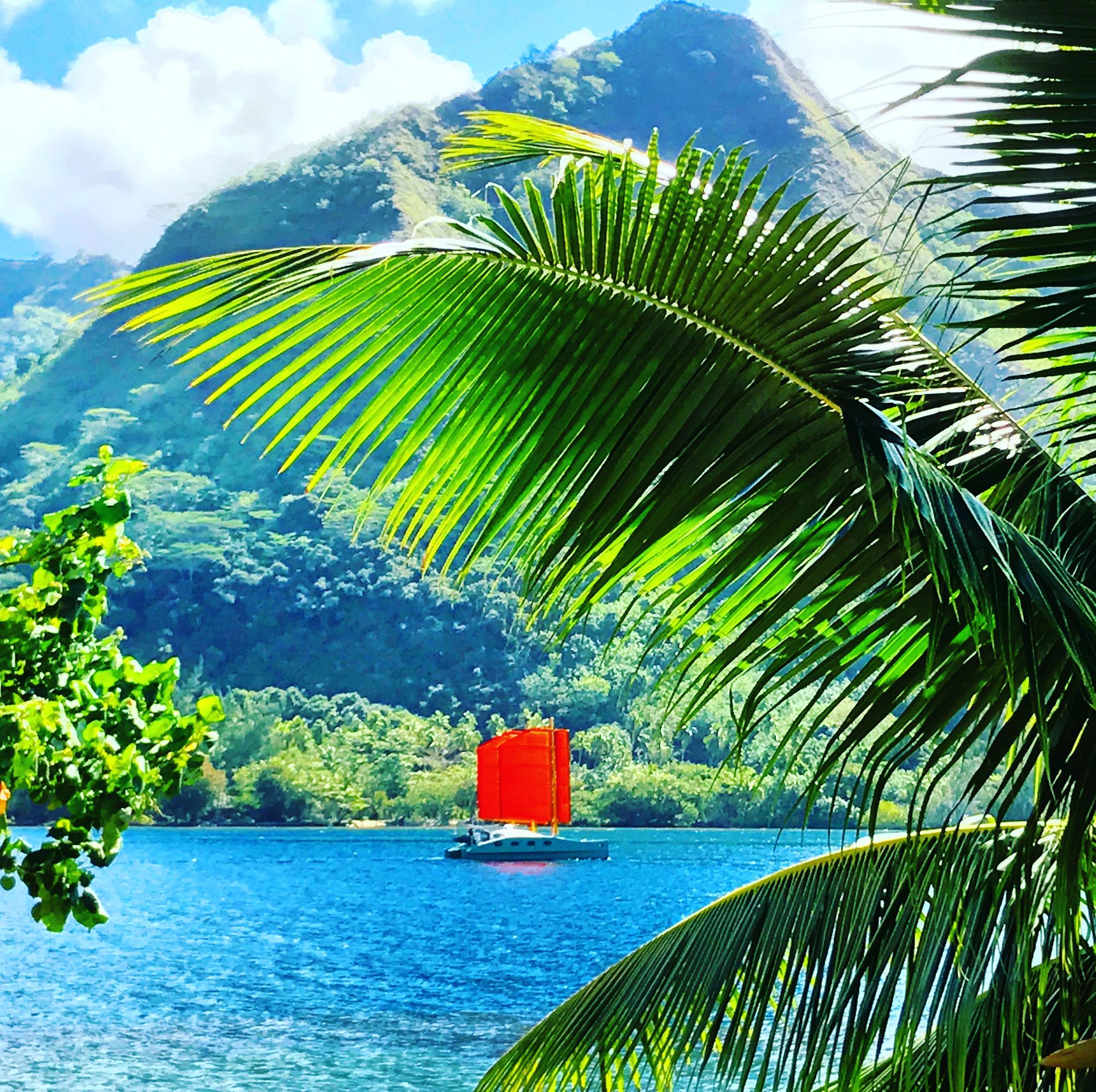 Robinson's Cove Villas