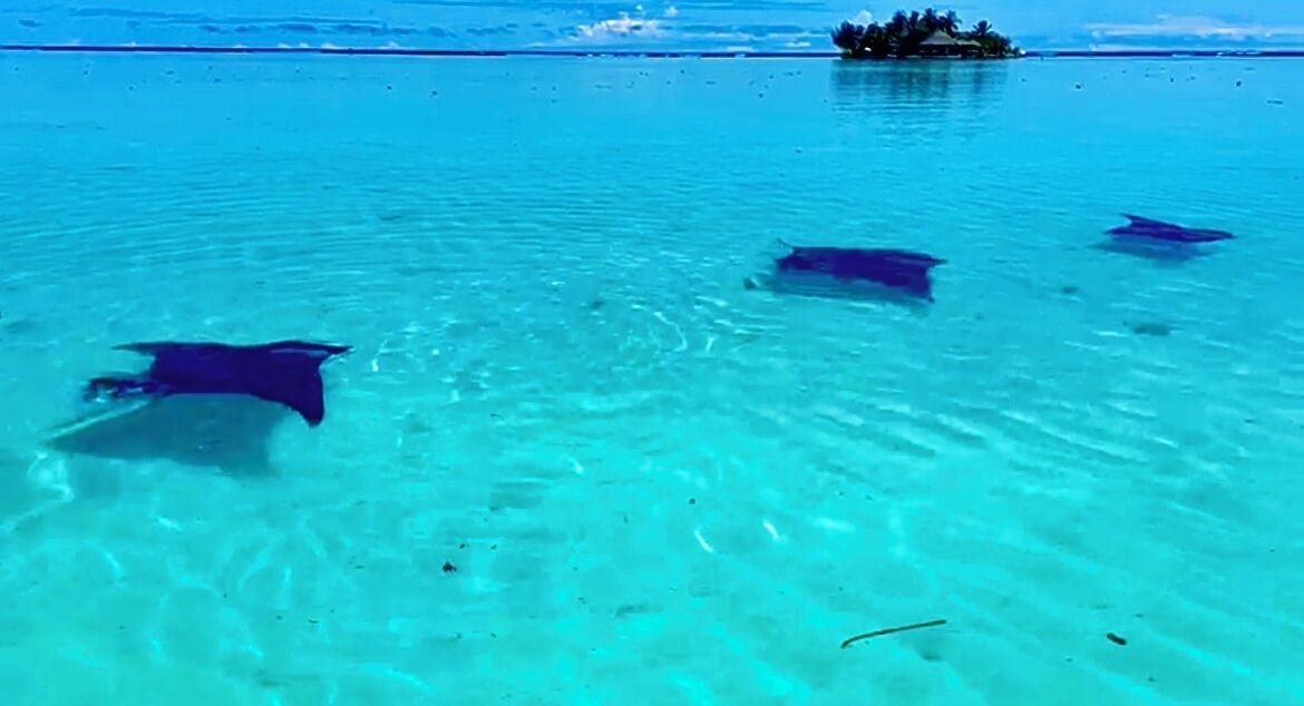 EDEN Private Island TAHA'A