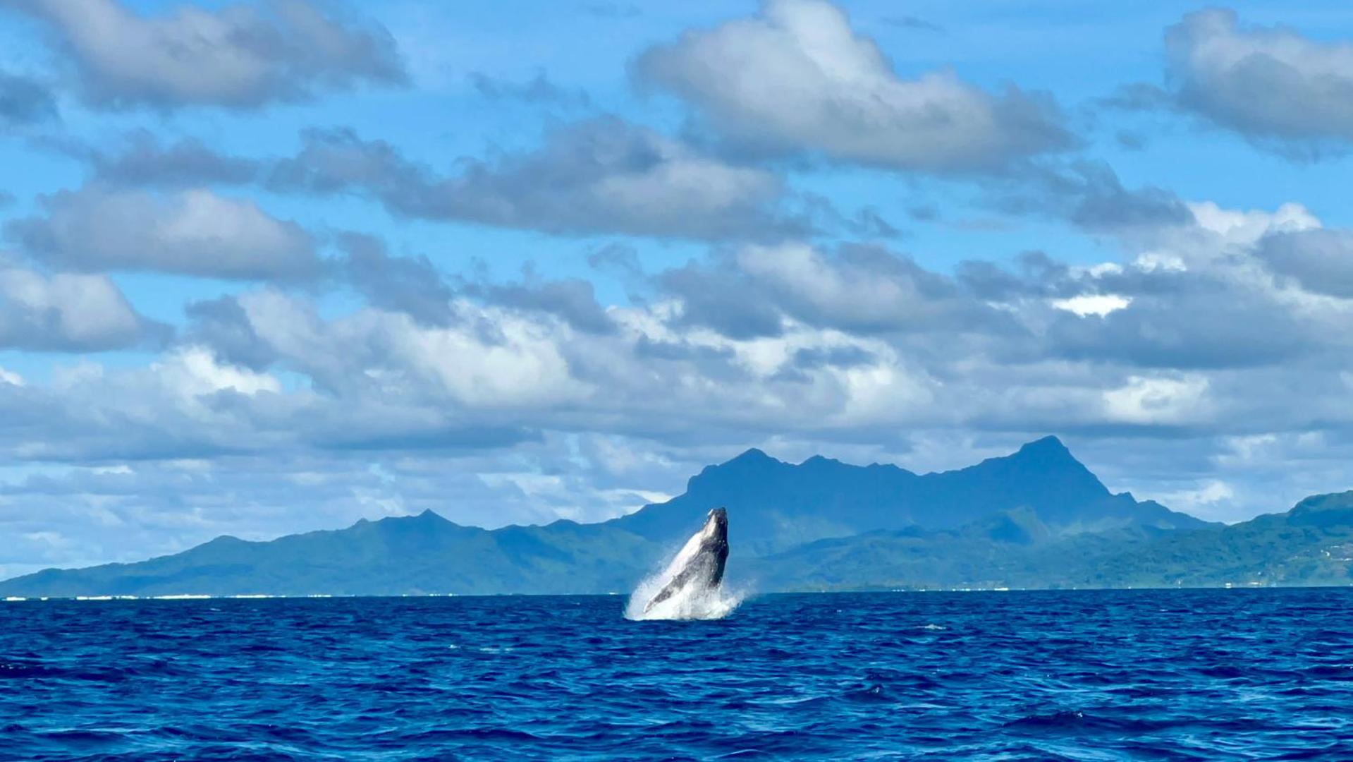 EDEN Private Island TAHA'A