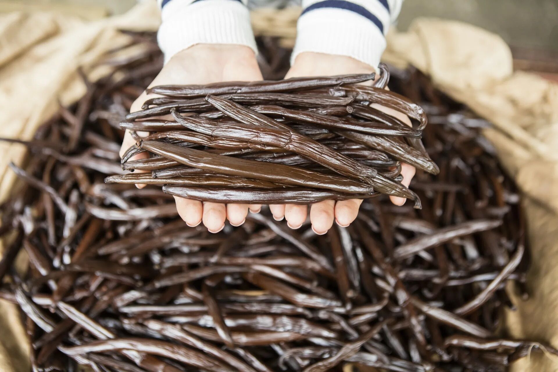 EDEN Private Island TAHA'A